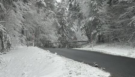 605535364_25084714091230737_2294819862858895373_n