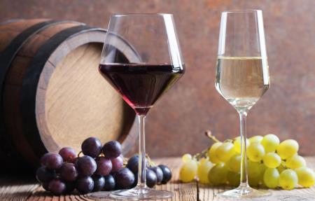 Ocenjevanje vzorcev vina 